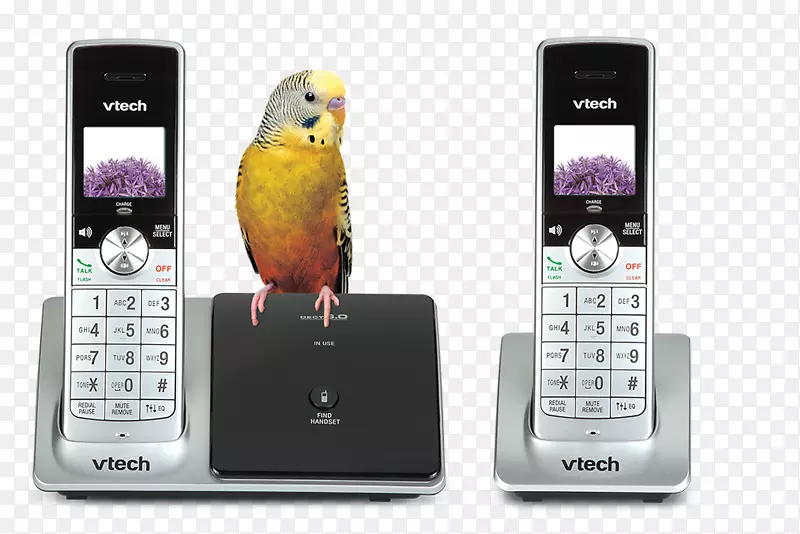 ��ɫ�绰�����ֻ���ý��iphone��������-�����ֻ�-������