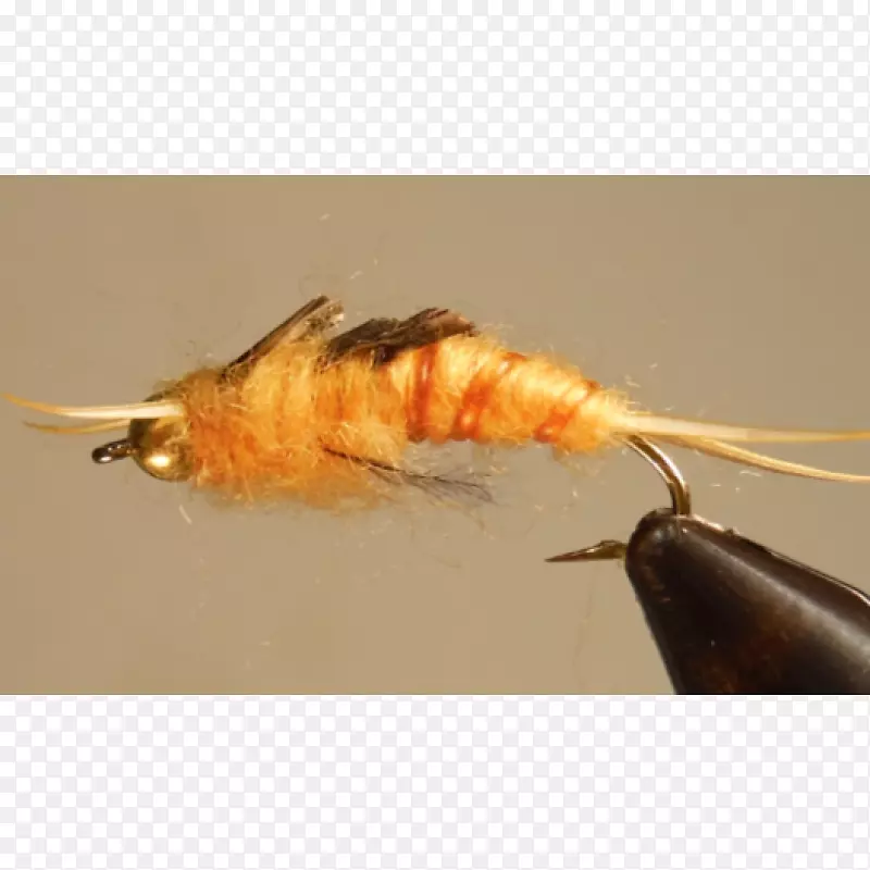 ����-������