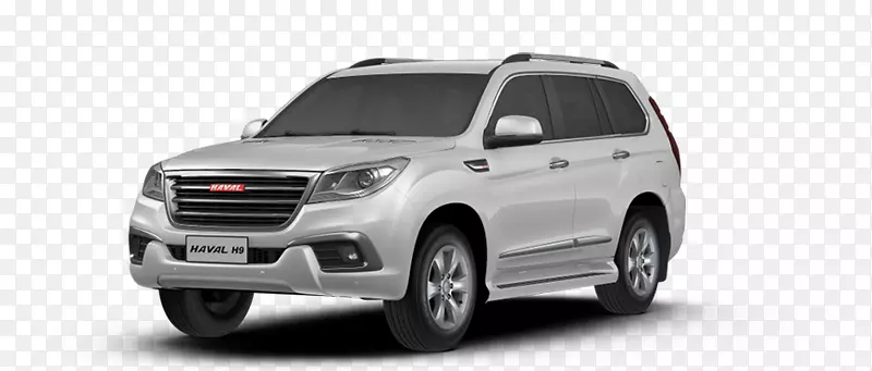 ����haval h9�˶��Ͷ๦�ܳ�÷����˹����c����-������