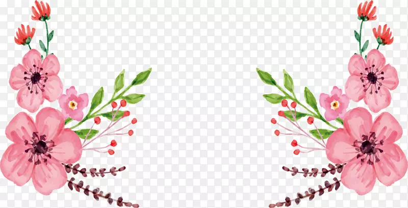 ��ɫ���ˮ�ʻ��ۺ�ɫˮ�ʻ����ں�-������