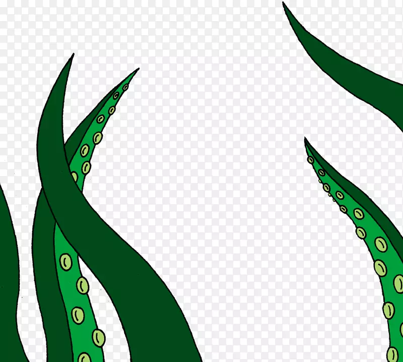 Ҷ��ֲ�ﾥ�߶�����-Ҷ-������