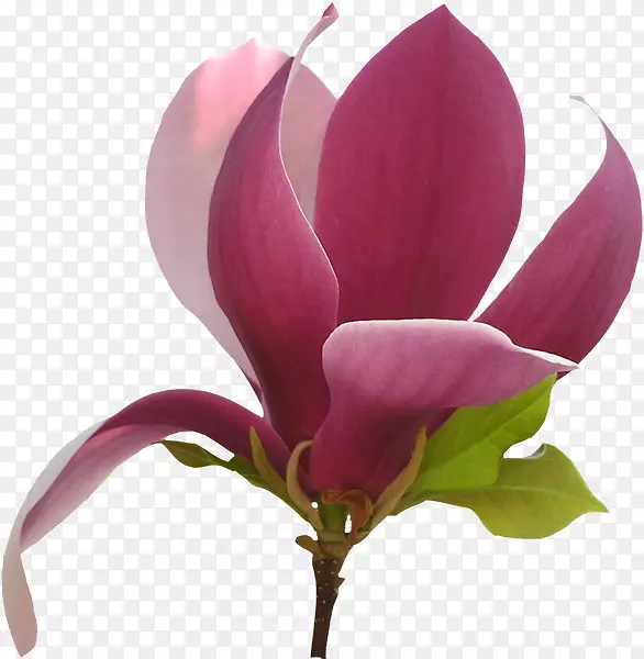 ������-������