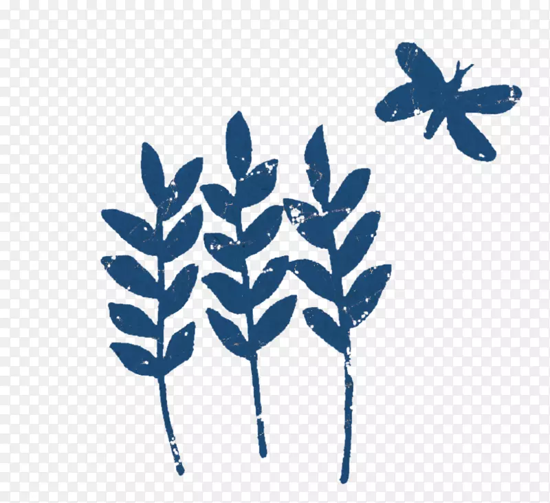 ����ֲ�ﾥҶ����������-������