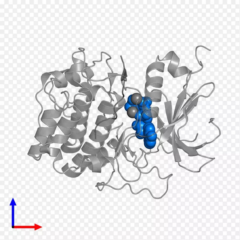 ����ɫ��������.���-������