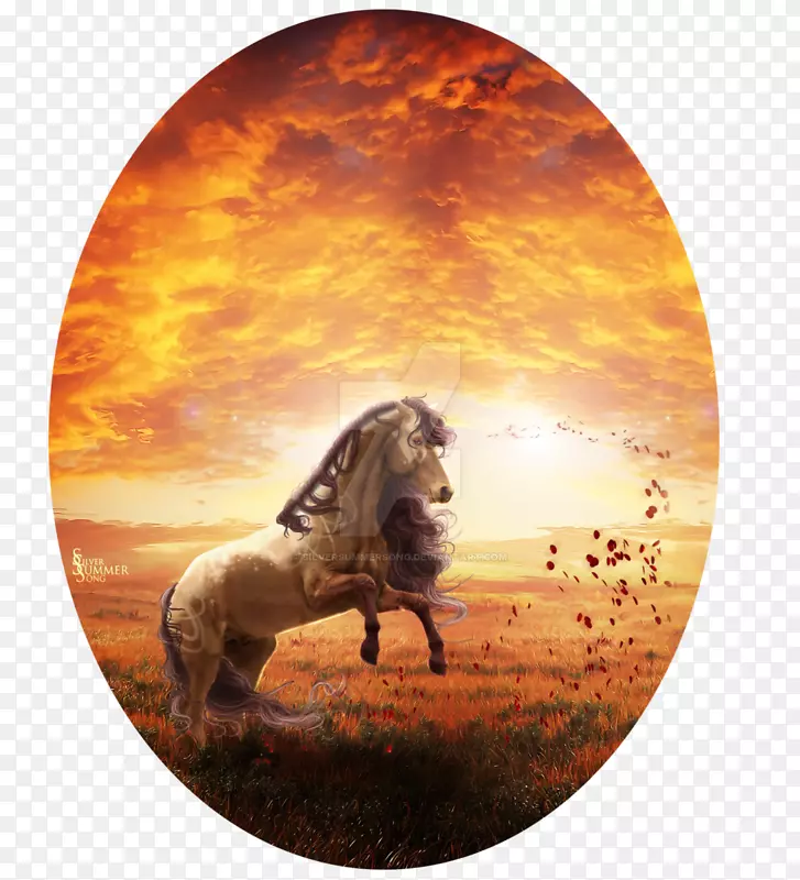 Ұ������.��¶-������