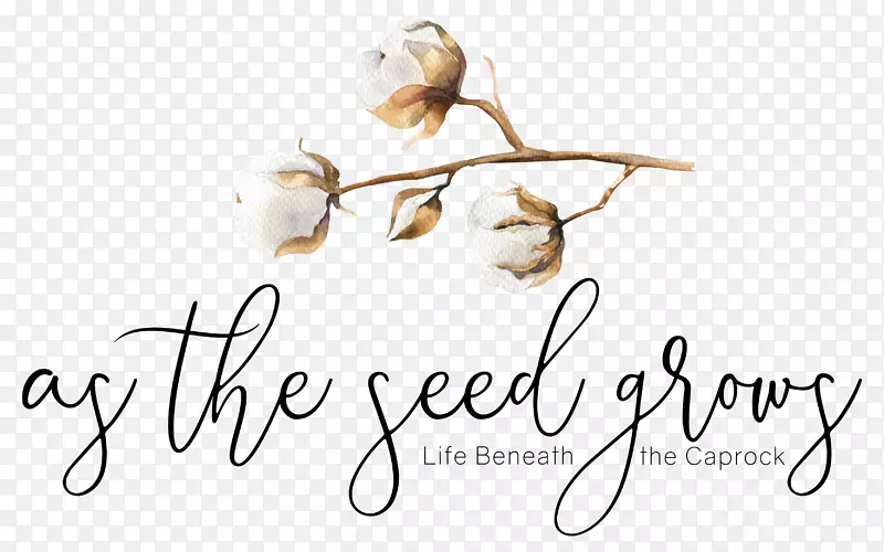 �̱�Ӥ����װ-�޻�����-������