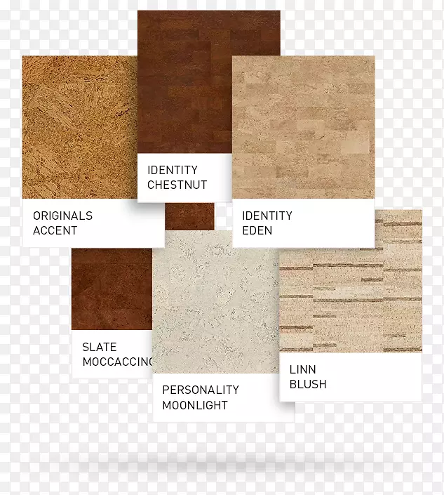 �ذ���ľ����ձ?-������