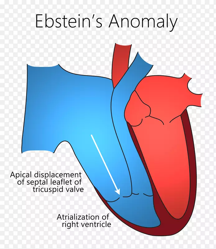 �̱��������-������