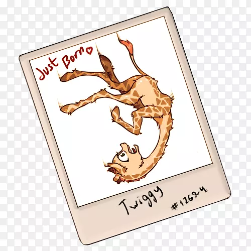 ��ָ������-��̥-������