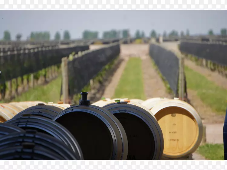 Ʒ��-������