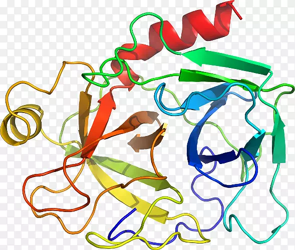 �ߵ������������-������