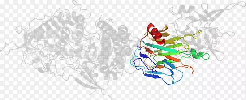 �ߵ���������-������