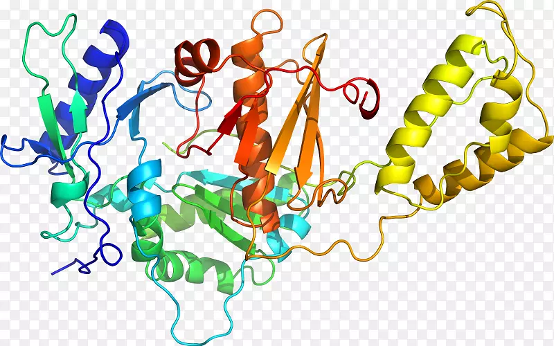 ���������л����߼�������-������