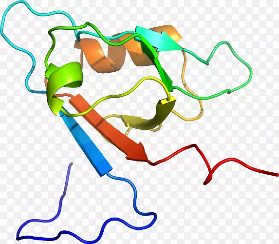 �ߵ������������-������