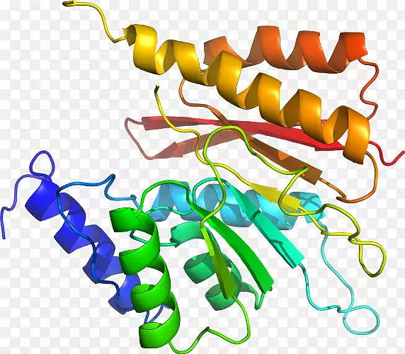 ���������л����߼�������-������