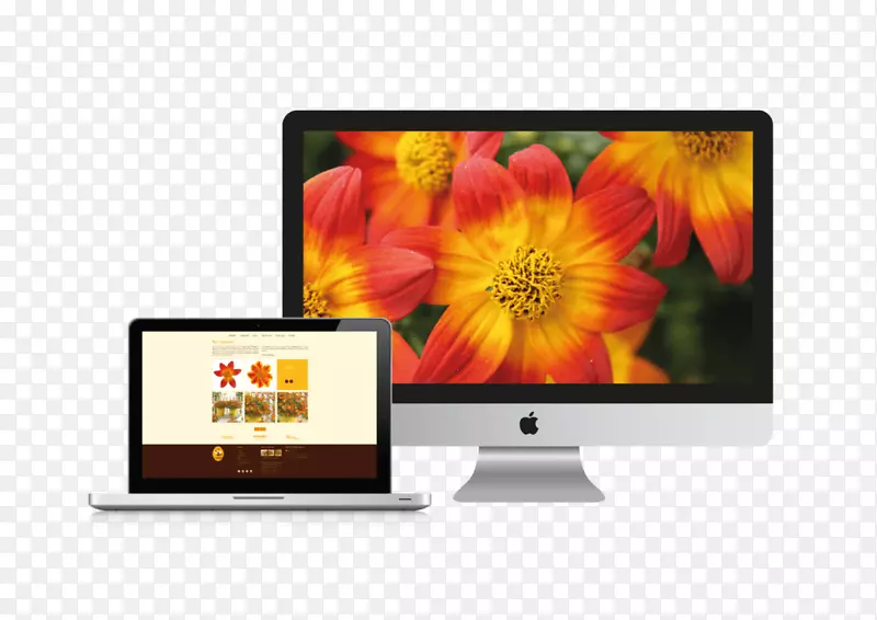 Һ�����ӵ�����ʾ��ƽ����ʾװ��-������