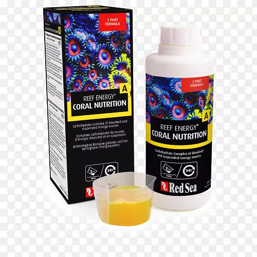 ��ʳ�����ɺ�������ܺ�ɺ��-������