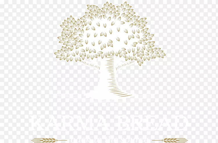 �����鱦������-�決-������