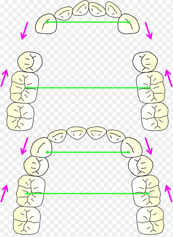 ������Ϊ��ָ������-ֲ��-������