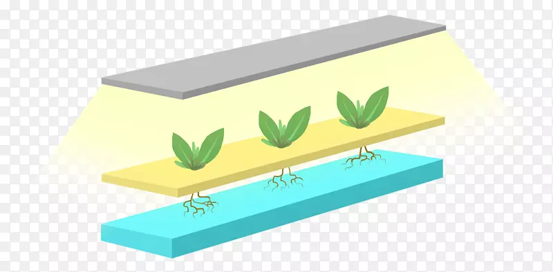 ���Ͼ������-������