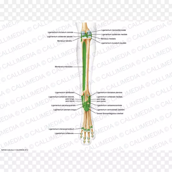 ֱ�߲ݽ�ͼh&m��-������