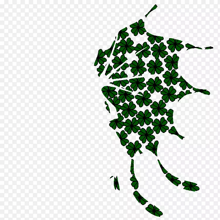 ����ֲ�������-������