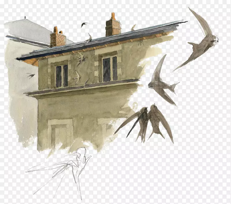 ˮ�ʻ�-������