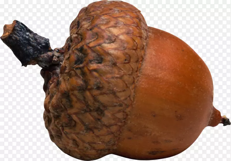 ������������u0414u0435u442u441u043au043eu0435 u0442u0432u043eu0440u0447u0435u0441u0442u0432u043e-�������-������