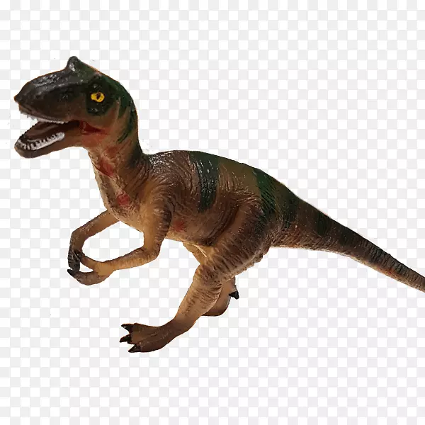 �����-����-������