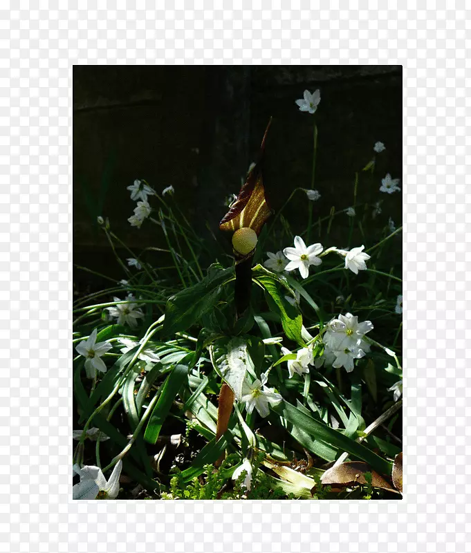 ���澲����Ӱ������-����-������