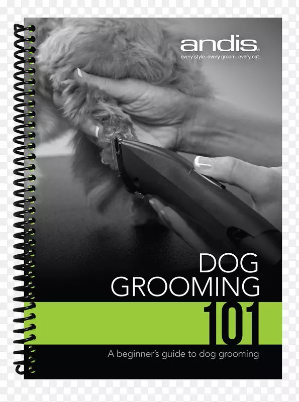 ������ɫ-������-������