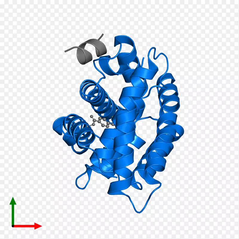 ������Ϊ���������-������