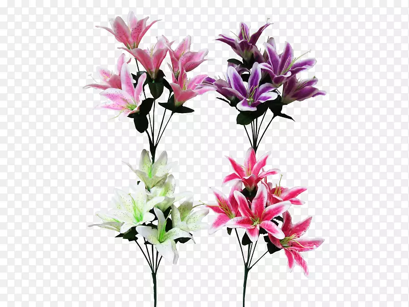 ��������л����컨-������