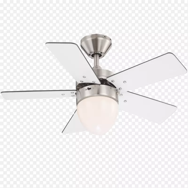 �ƾߵ���.��-������