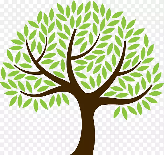 ��ѧ������֦�������Ļ���-������