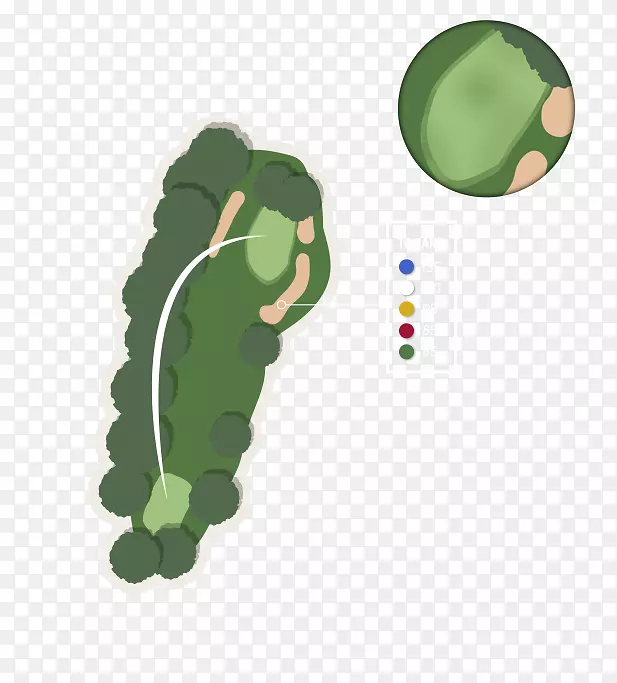 Ҷ��-����-������