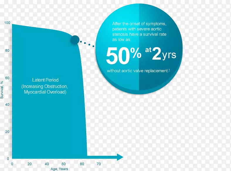 �̱��������-������