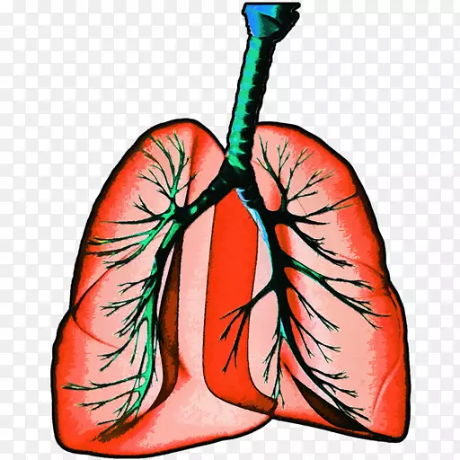 ��ָѪ�ܾ��ؽڼ�����.ѪҺ-������