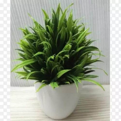 ���ڻ����ƽ-������