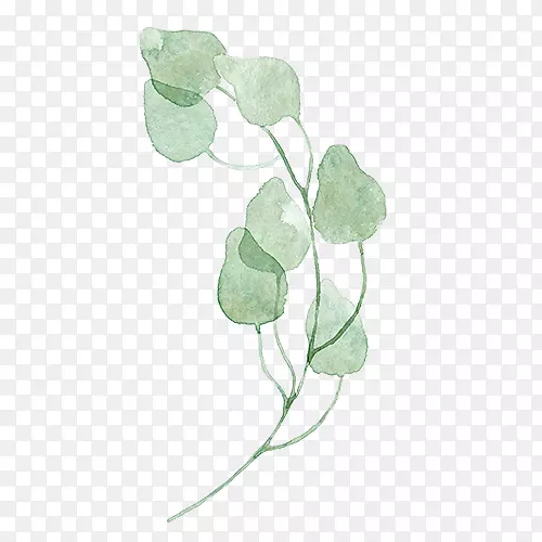 Ҷ��ɫˮ�ʻ�.ˮ��Ҷ-������