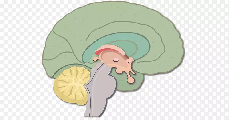 �Ը�������ϵͳ����-��-������