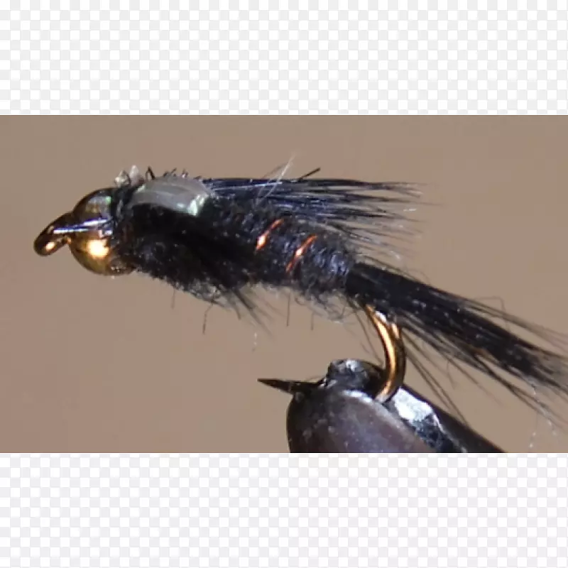 �����˹�Ӭ-������