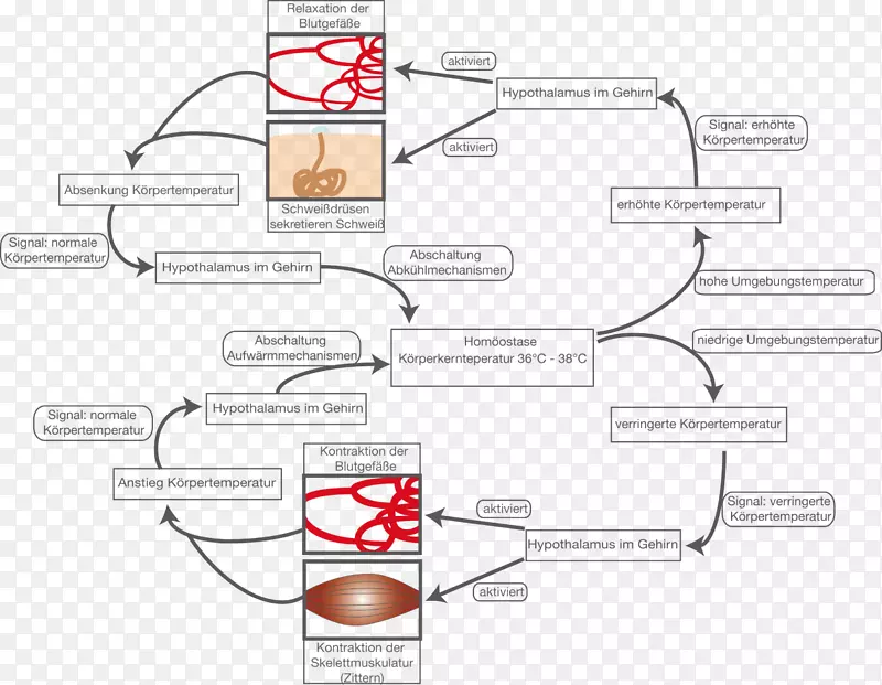 ֽ�߽����-������