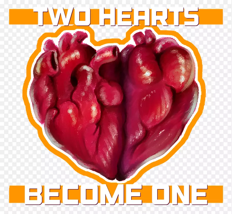 ������������ʳ������ˮ��-������