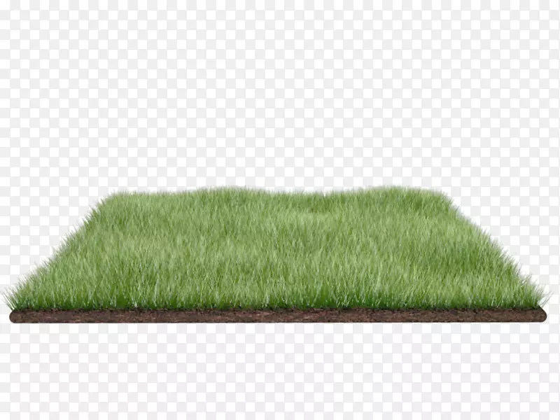 �����ͼ��.���۱�־-������