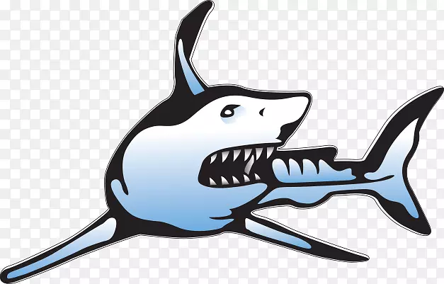 �����ǽ�����ʳ�������-�ǳ��м�ֵ-������