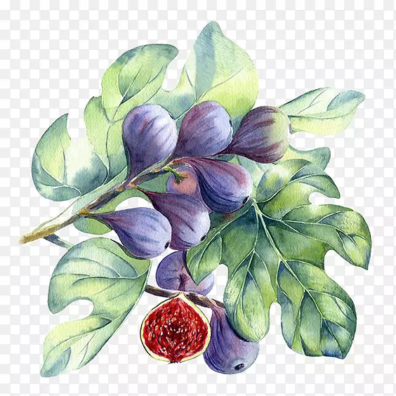 ˮ�ʻ���ͨ�޻���-������