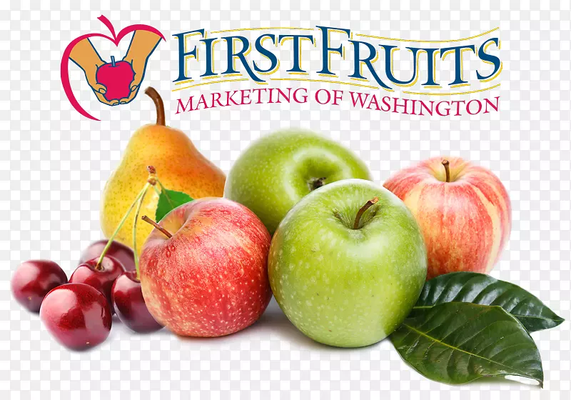 ƻ����԰ʳƷֽ-������