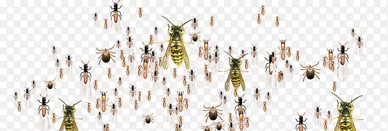 ϵ����Ʒ«έ-���-������