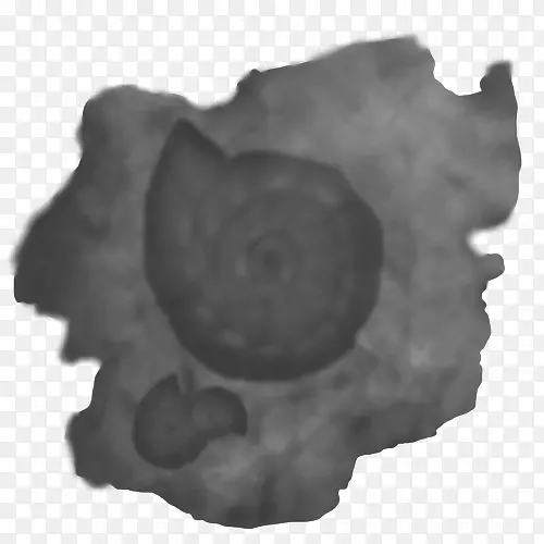 ����-��-������